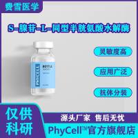 S-腺苷-L-同型半胱氨酸水解酶 (SAHH),S-腺苷甲硫氨酸合成酶 (MAT )