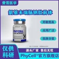 氨基末端脑钠肽前体，BNP抗原