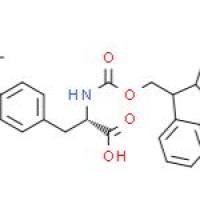 Fmoc-O-叔丁基-L-酪氨酸
