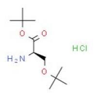 O-叔丁基-D-丝氨酸叔丁酯盐酸盐