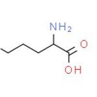 L-鸟氨酸盐酸盐