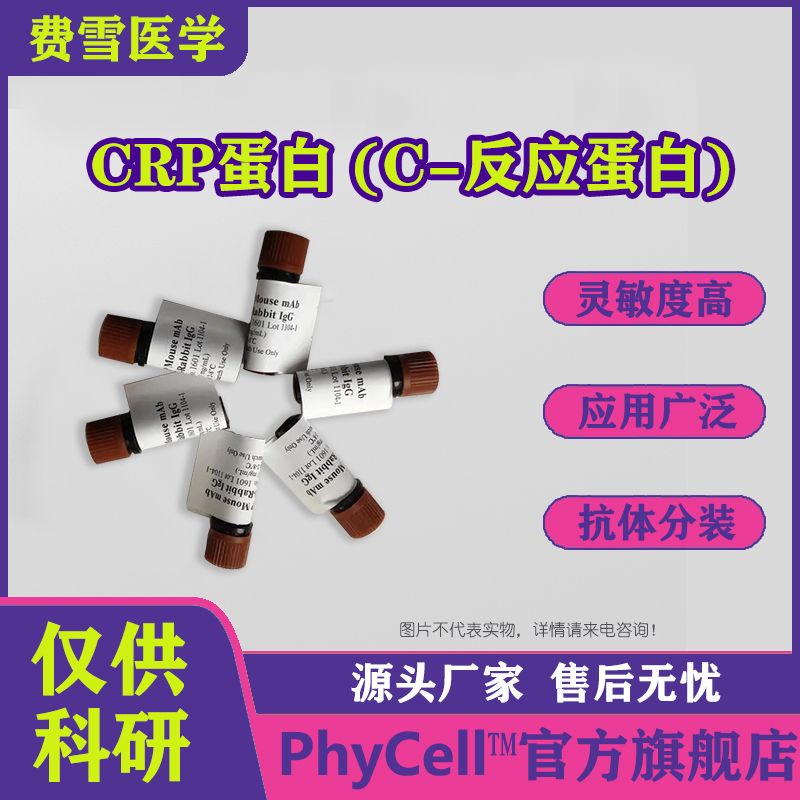 CRP蛋白，C-反应蛋白，CRP抗原 （C-reactive protein，CRP）    