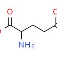 L-谷氨酸 1-甲酯