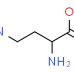 D-2,4-二氨基丁酸