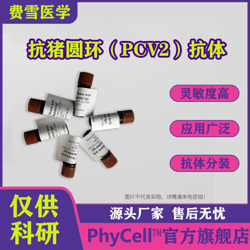 抗猪圆环（PCV2）单克隆抗体