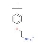 2-(4-(叔丁基)苯氧基)乙胺