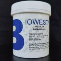 西班牙 琼脂糖 Agarose |琼脂糖，BY-R0100