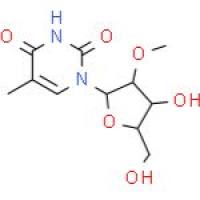 2'-O-甲基-5-甲基尿苷
