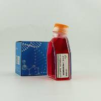 SK-N-SH (人神经母细胞瘤细胞)