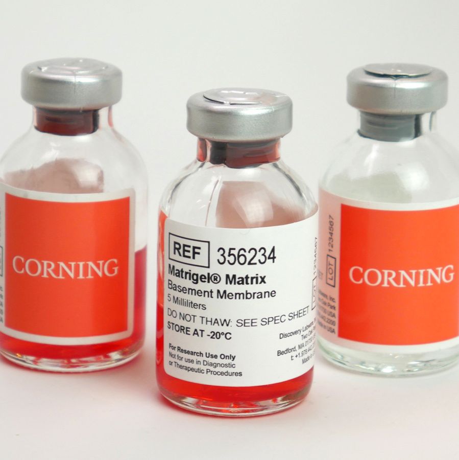 Corning全系列基质胶，优惠大放价