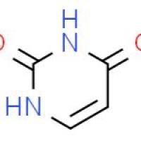 尿嘧啶
