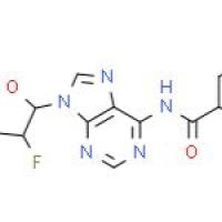 N6-苯甲酰-2'-氟脱氧腺苷