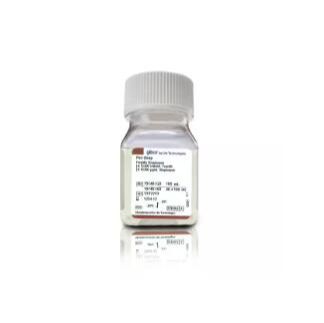 Gibco 青霉素-链霉素溶液（100X 双抗） 15140122