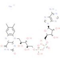 黄素腺嘌呤二核苷酸二钠