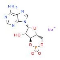 腺苷-3',5'-环状单磷酸钠水合物