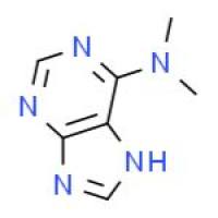 6-二甲基氨基嘌呤