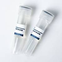 重组人白细胞介素6