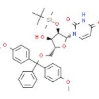 5'-DMT-2'-TBDMS-RU
