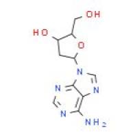 2'-脱氧腺苷一水合物
