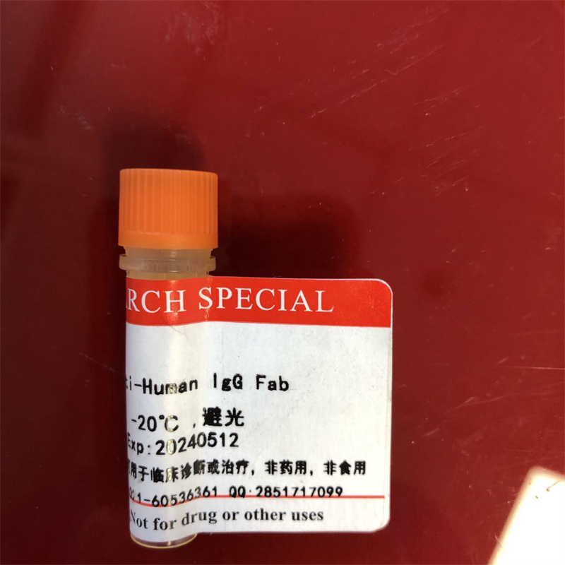 HRP-山羊抗树鼩IgG(H+L)