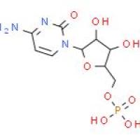 5'-胞苷酸