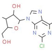 2,6-二氯嘌呤核苷