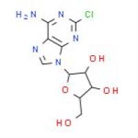 2-氯腺嘌呤核苷