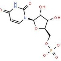 尿苷酸二钠