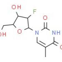 2'-氟-5-甲基阿拉伯糖基尿嘧啶