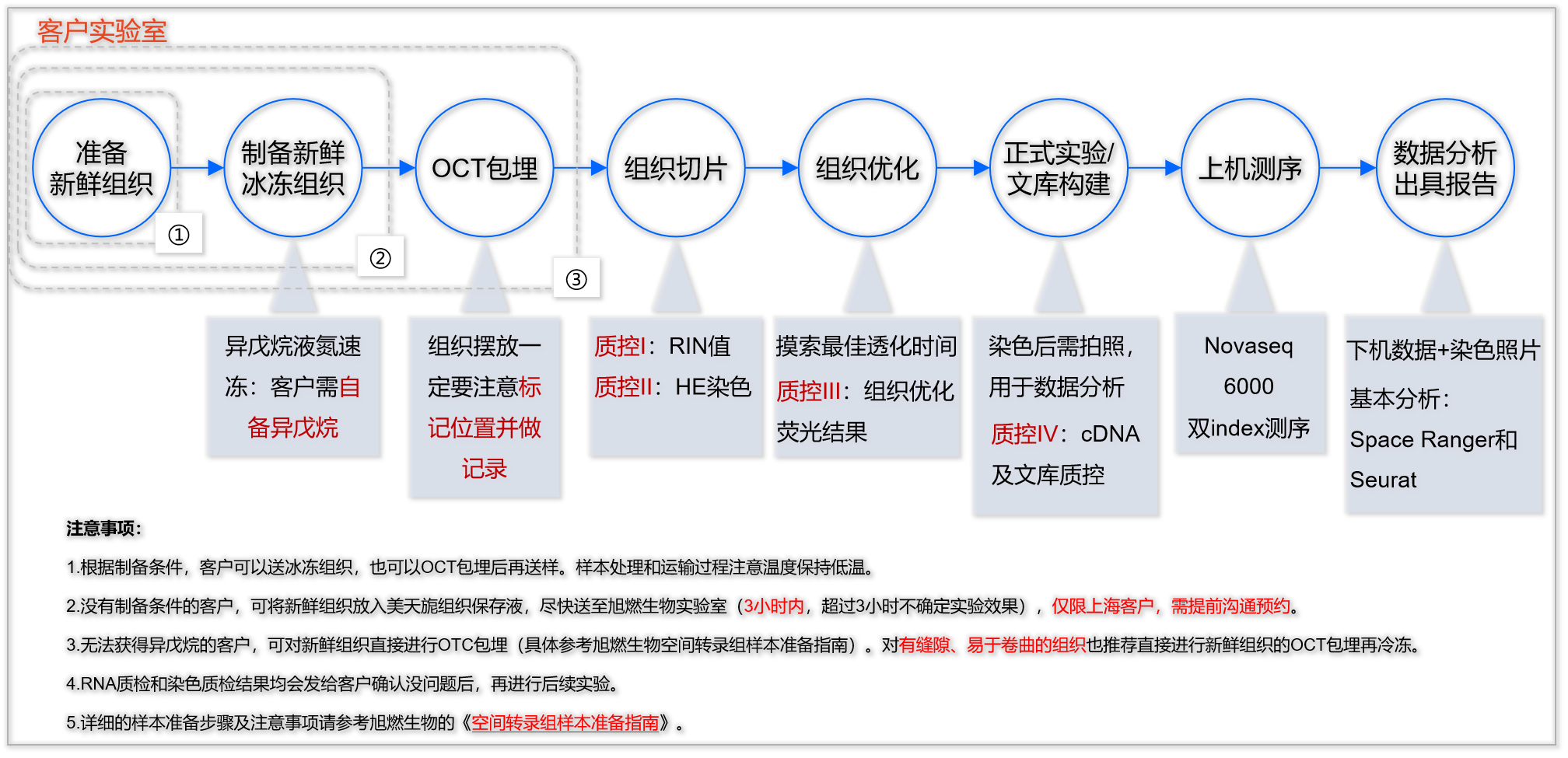 Visium CytAssist空间转录组测序