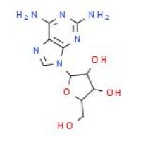 2-氨基腺嘌呤核苷