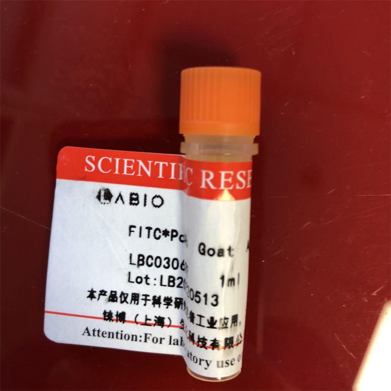 BIOTIN-兔抗豚鼠IgG(H+L)