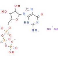 鸟苷-5'-三磷酸二钠盐