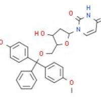 保护-2'-脱氧尿苷