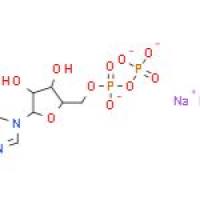 ADP,5'二磷酸腺苷钠盐