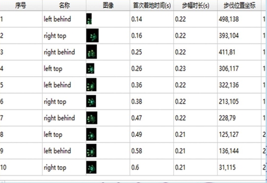 大小鼠步态分析系统