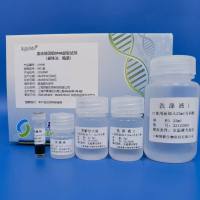 血液基因组DNA提取试剂（磁珠法）