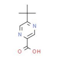 5-吡嗪-2-羧酸叔丁酯