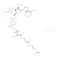 乙酰辅酶A,锂盐