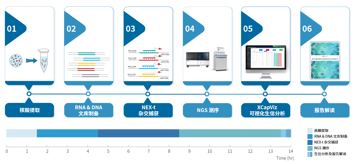 新品上线 | RNA & DNA 病原共检 更高效的 tNGS 全矩阵解决方案