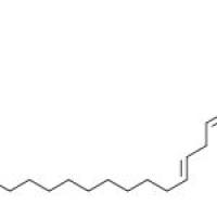 11,14-二十碳二烯酸甲酯