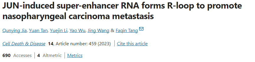 【文献速递】转录因子JUN介导的seRNA形成R环促进鼻咽癌转移