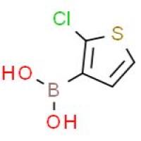 2-氯噻吩-3-硼酸