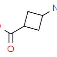 CIS-3-氨基环丁酸