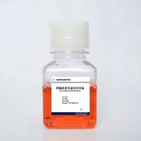 胆囊癌类器官培养试剂盒