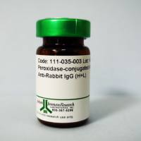 辣根过氧化物酶HRP标记亲和纯化山羊抗小鼠IgG（H+L）二抗 现货|Horseradish Peroxidase-conjugated Af-finiPure Goat Anti-Mouse IgG （H+L）