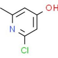 2-氯-6-甲基吡啶-4-醇
