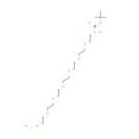 22-氨基-5,8,11,14,17,20-六氧杂-2-氮杂二十二酸 1,1-二甲基乙酯