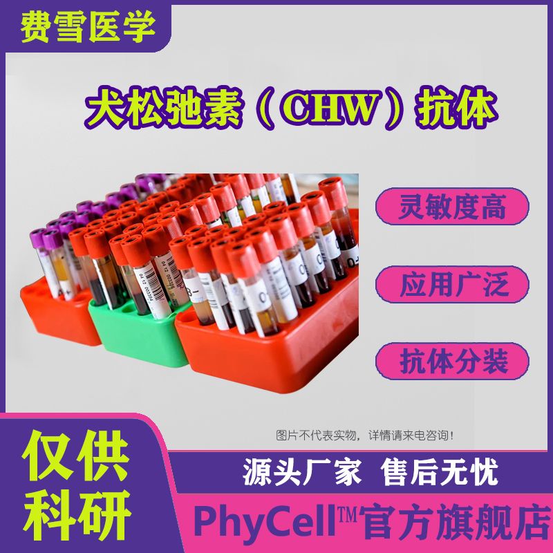 犬松弛素（CHW）单克隆抗体，CHW抗体