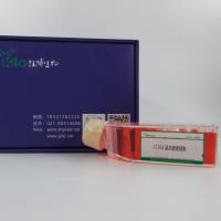 CT26.WT    小鼠结肠癌细胞